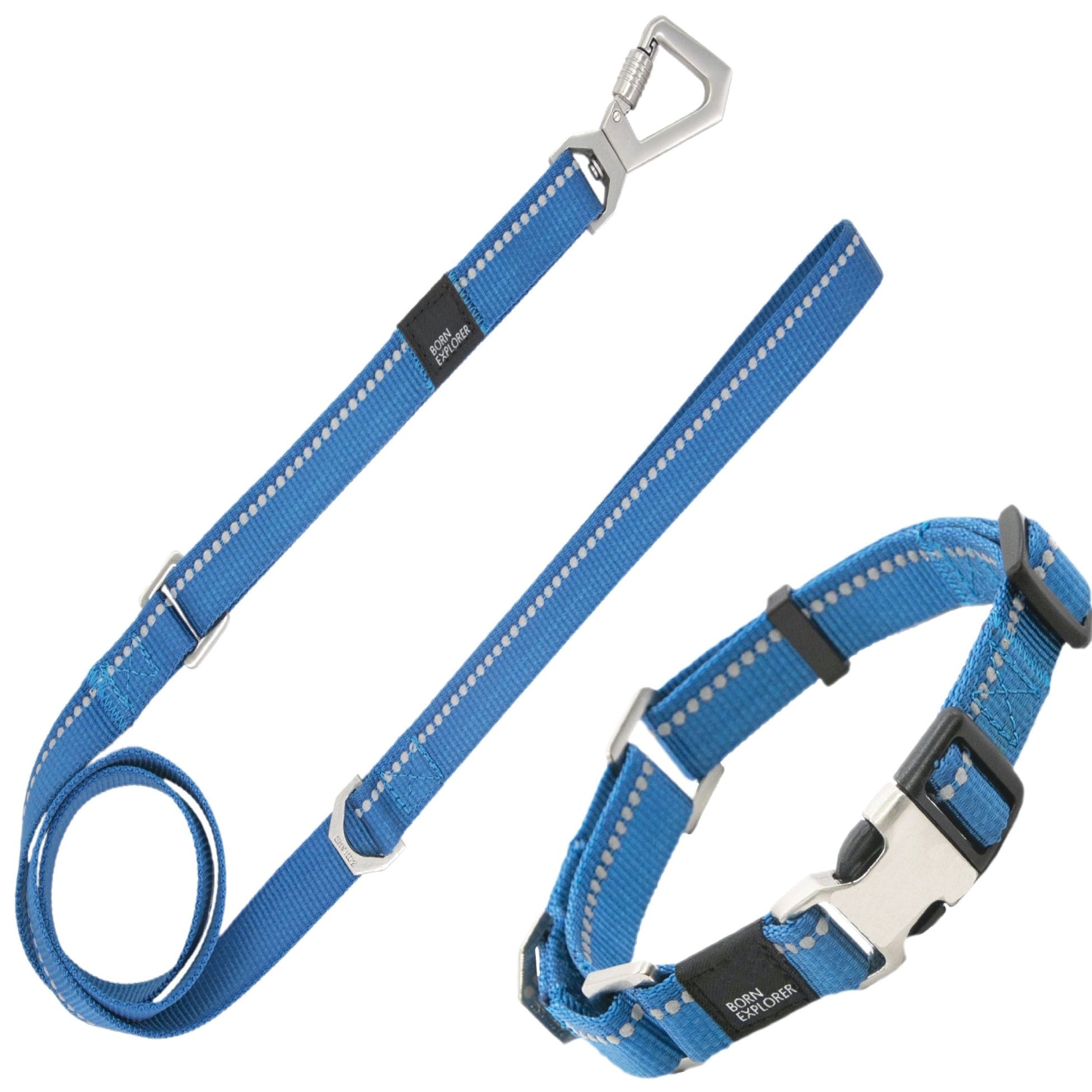 Reflective Martingale Pet Life Leash N Collar