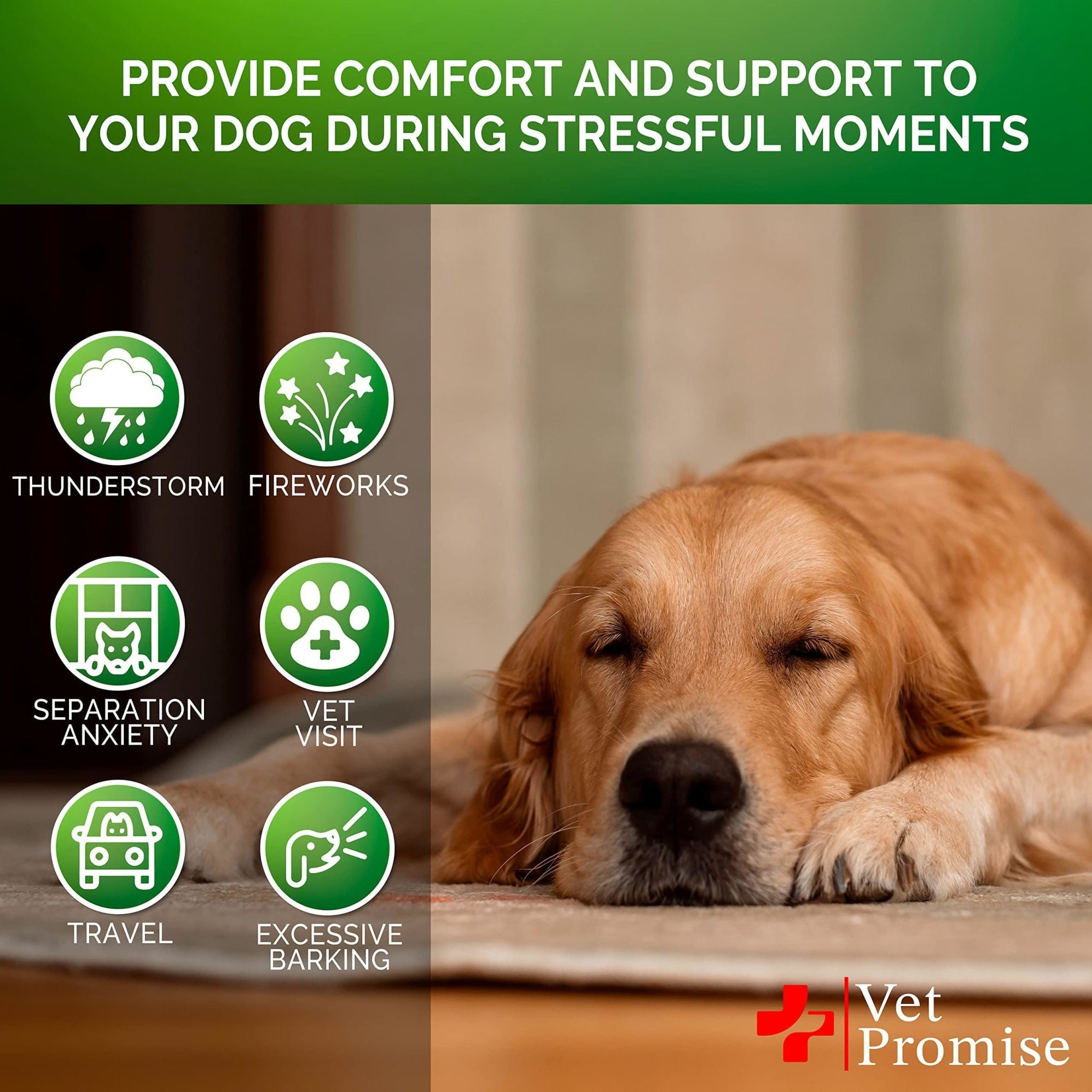 Hemp Calming Chews for Dogs with Anxiety and Stress