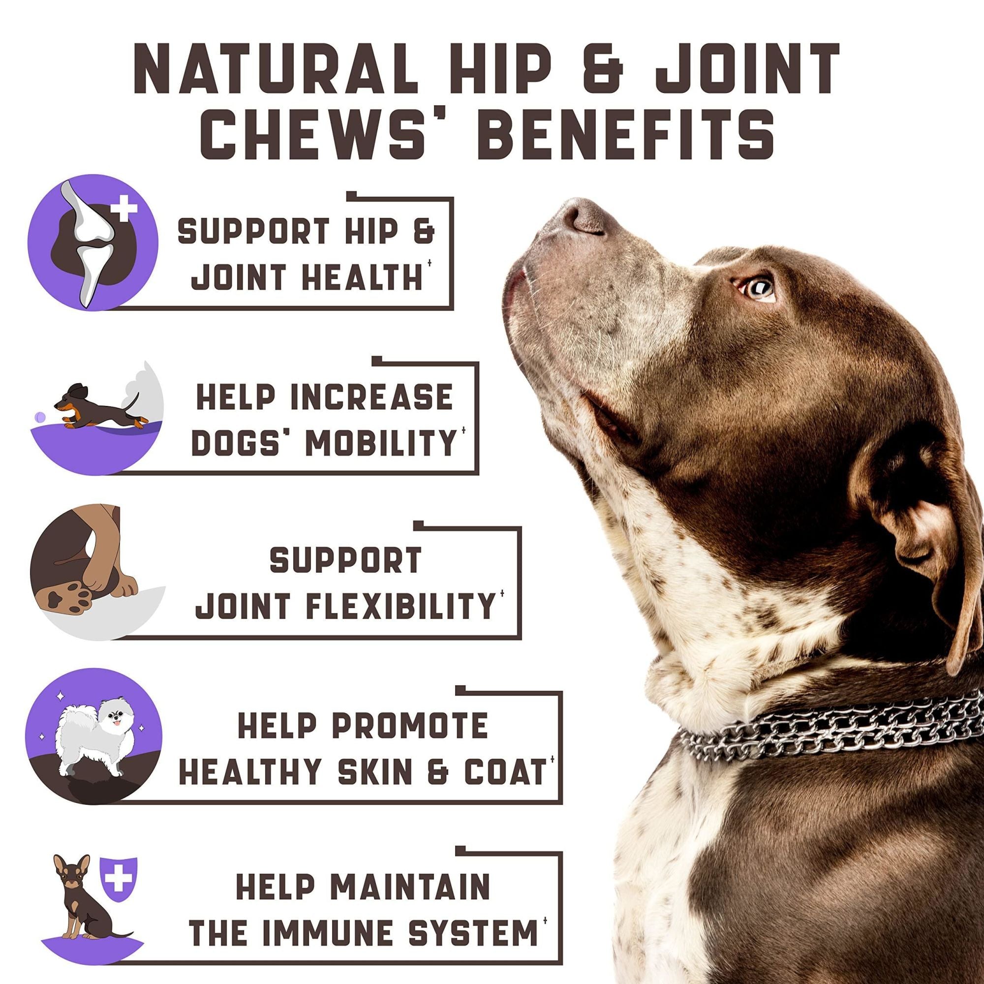Glucosamine Functional Joint Supplement with Chondroitin for Pets
