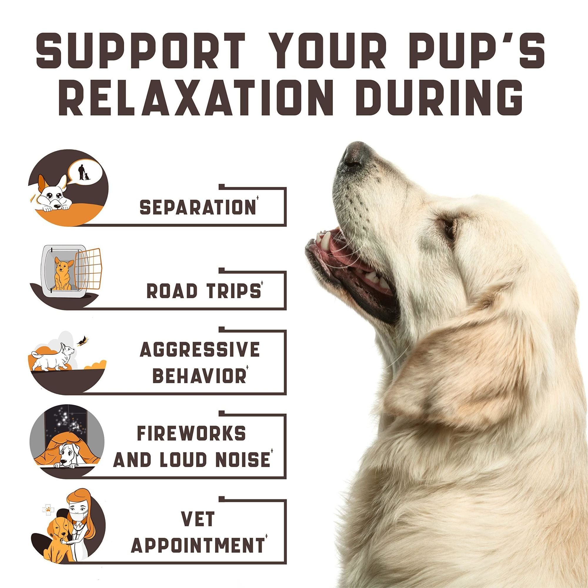 Natural Calming Chews with Hemp Oil and Valerian Root for Pets