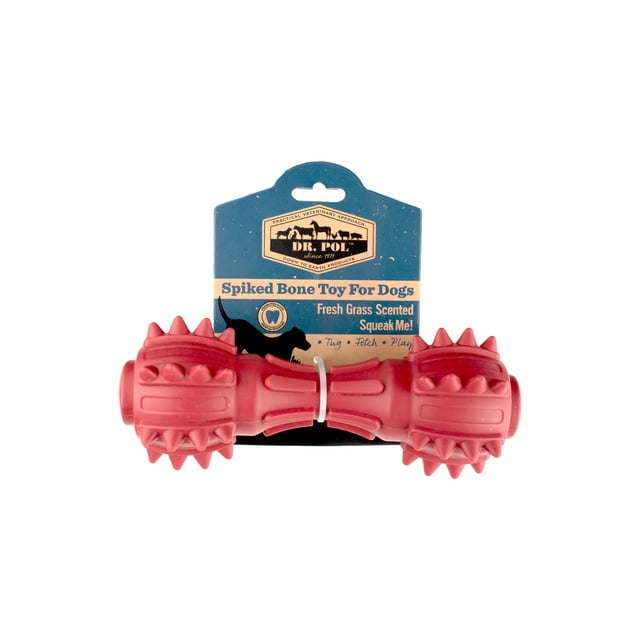 TPR Spiked Squeak Bone Red Dog Toy