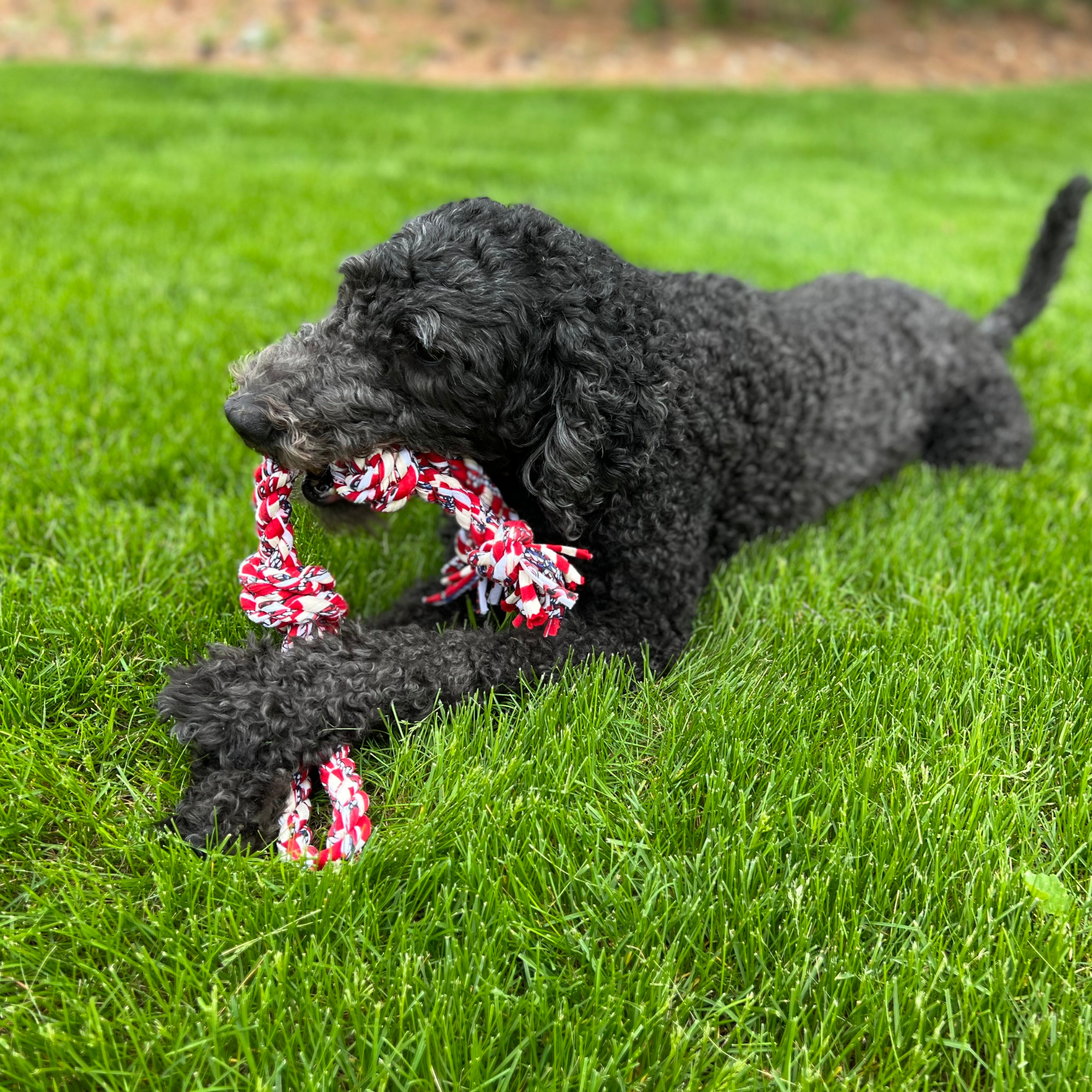 Tennis Ball Upcycled Fabric Rope Dog Toys