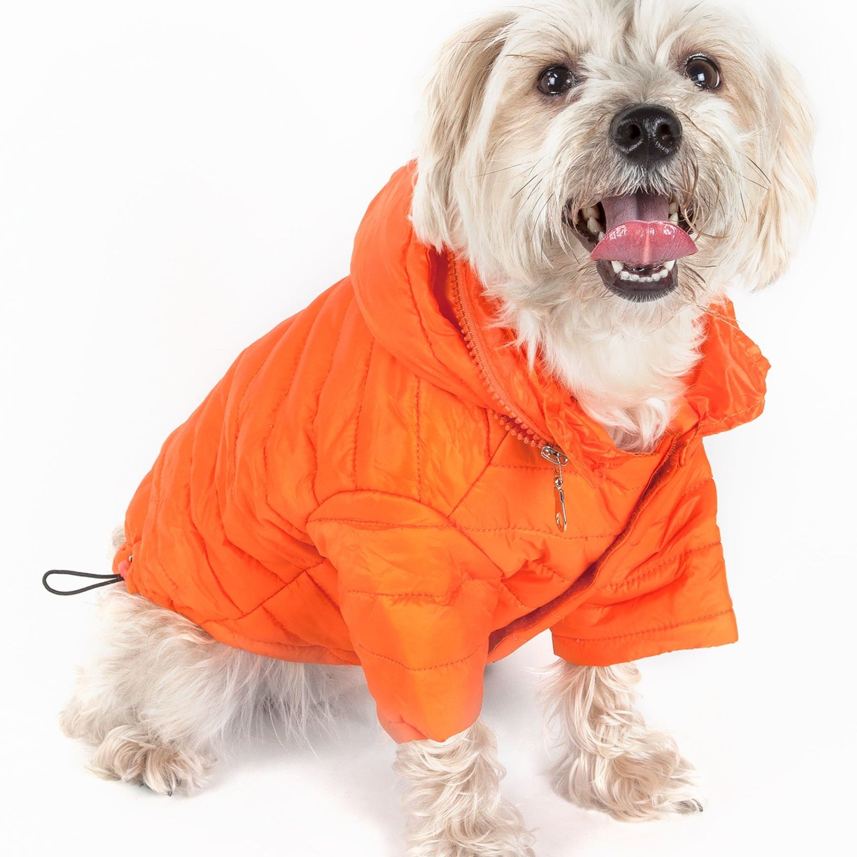 Lightweight Adjustable Sporty Avalanche Pet Coat