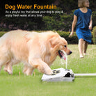 Paw Sprout Step-On Pet Water Fountain