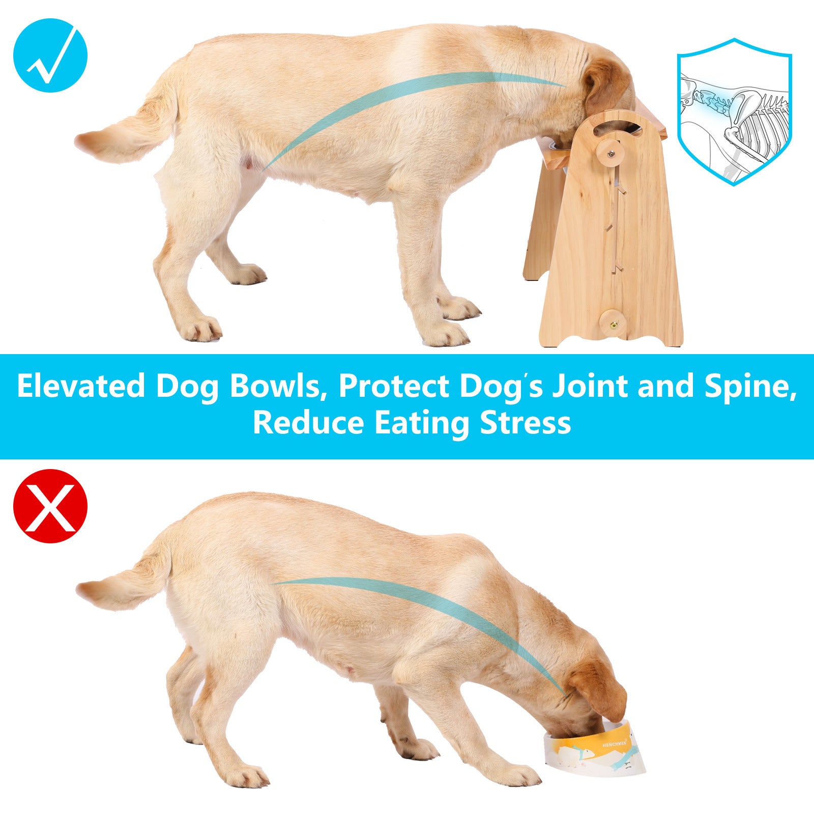 Elevated Pet Bowls for Food and Water