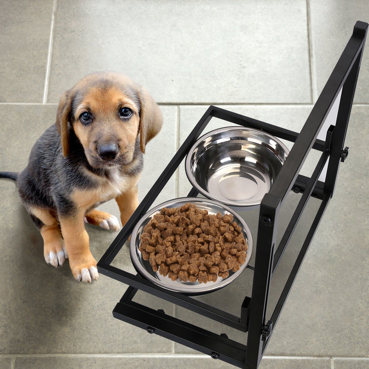 Adjustable Stainless Steel Dog Raised Bowls