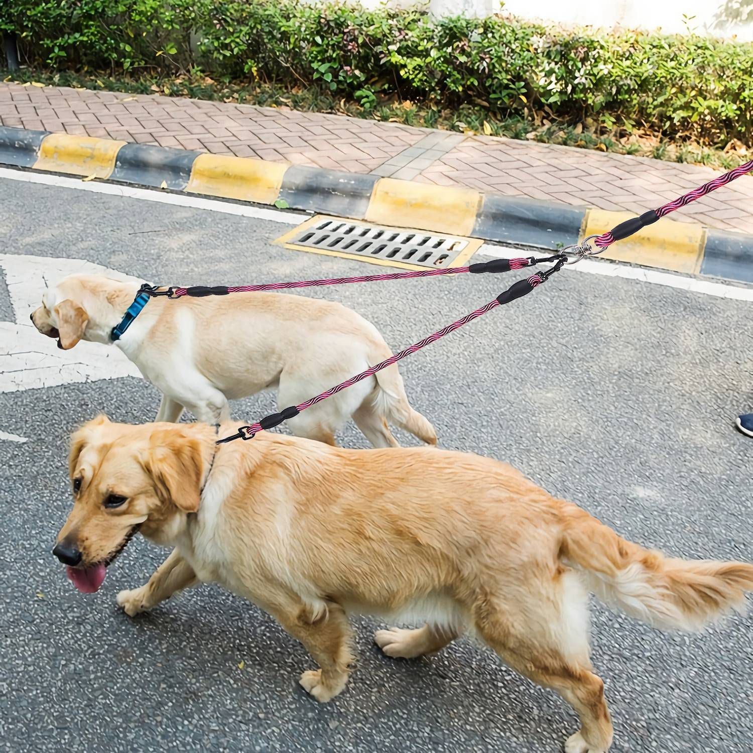 Reflective Dogs Walking Leash Swivel Coupler Padded