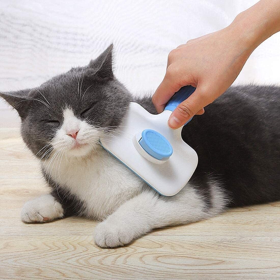 Dog Brush