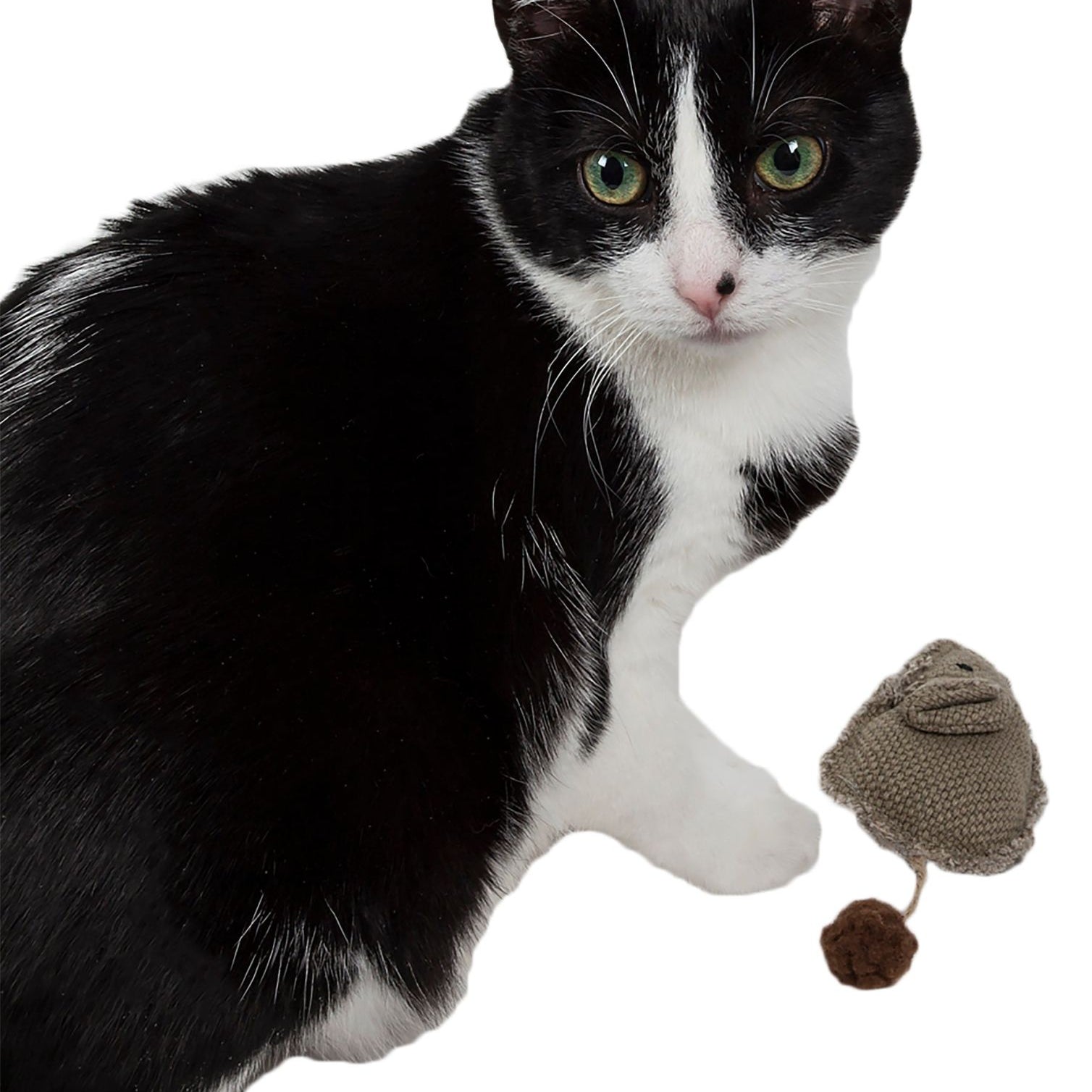   Pet Life Pompom Kitty Mouse Plush Catnip Cat Toy
