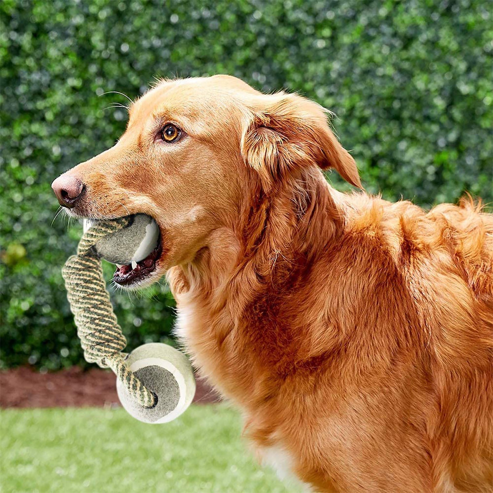 PawsPlay Cotton Rope Toy Set