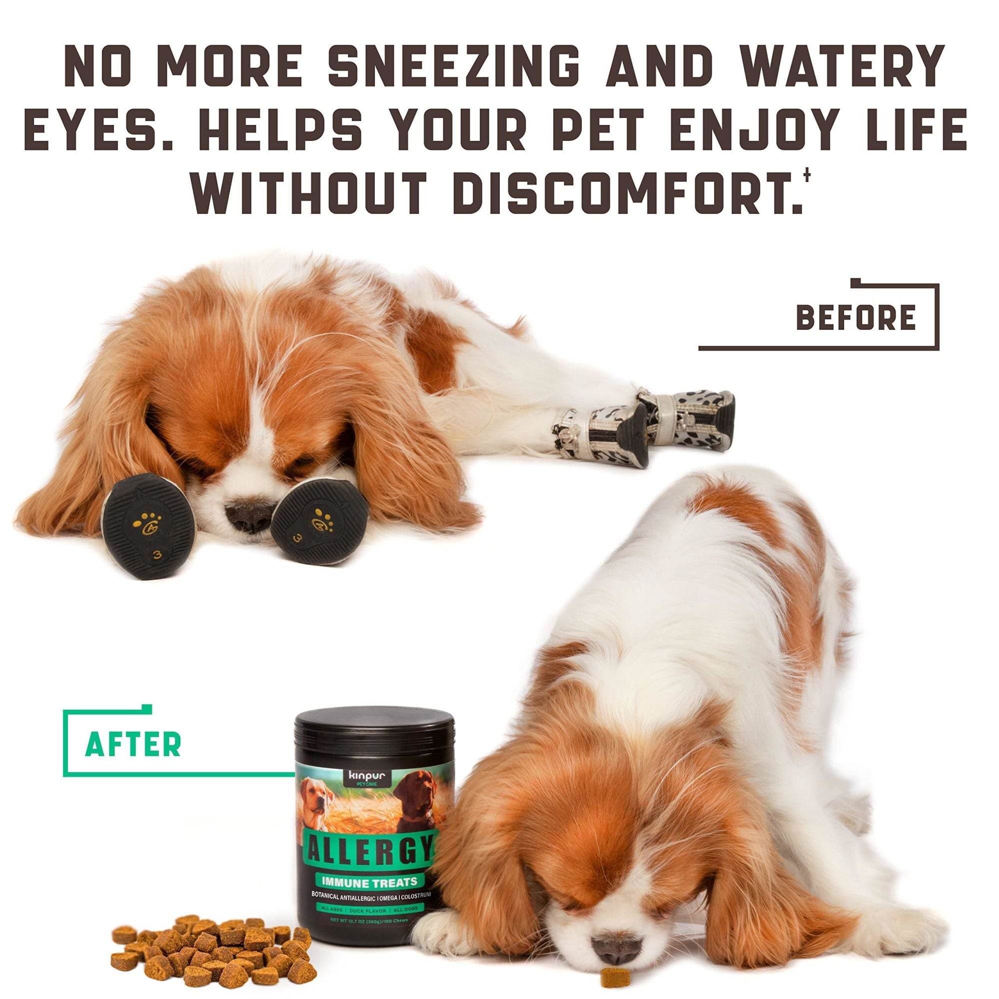 Natural Dog Allergy Chews with Omega Relief Supplement