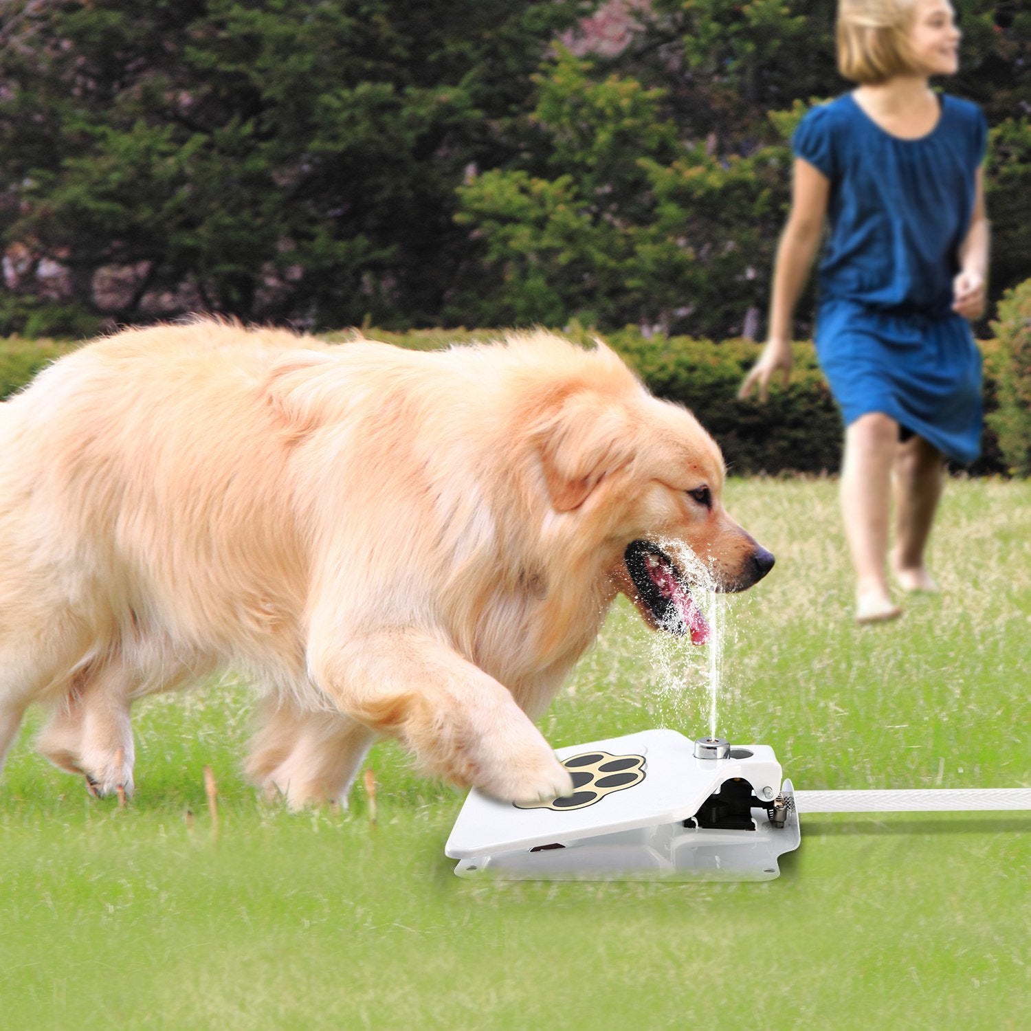 Paw Sprout Step-On Pet Water Fountain