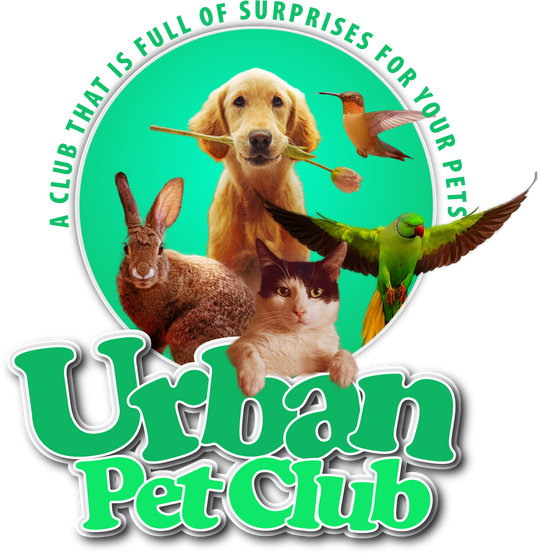 Compact Cooling Dog Bowl Urban Pet Club