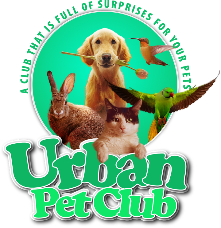 Compact Cooling Dog Bowl Urban Pet Club